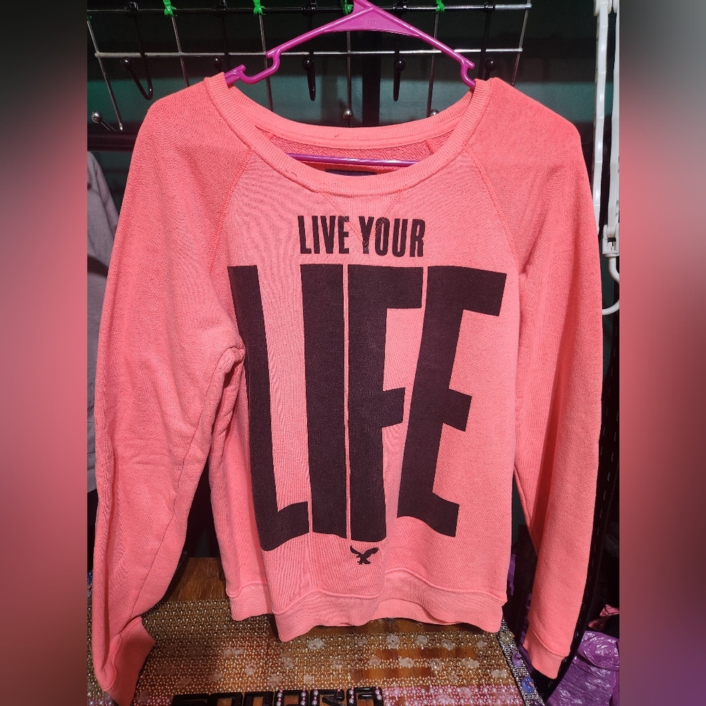 American Eagle Outfitters Coral Crewneck Sweatshirt